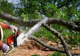 Mulching Services in Maud, TX