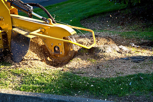 Artificial Turf Installation